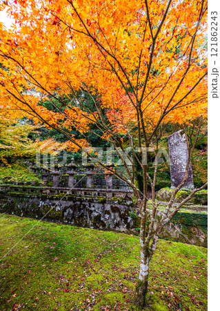 天祐寺の紅葉【長崎県諫早市】 天祐寺の紅葉【長崎県諫早市】 121862243