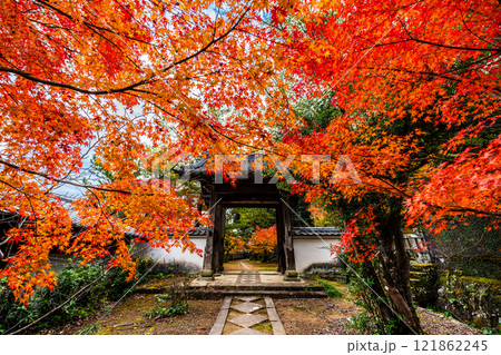 天祐寺の紅葉【長崎県諫早市】 天祐寺の紅葉【長崎県諫早市】 121862245