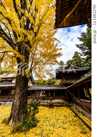 天祐寺の紅葉【長崎県諫早市】 天祐寺の紅葉【長崎県諫早市】 121862249