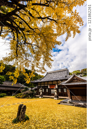 天祐寺の紅葉【長崎県諫早市】 121862261