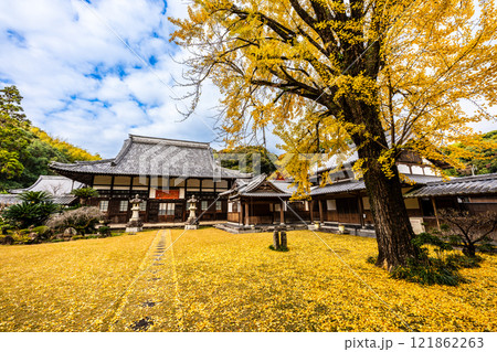 天祐寺の紅葉【長崎県諫早市】 天祐寺の紅葉【長崎県諫早市】 121862263
