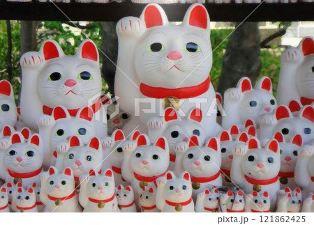 招福猫児　豪徳寺　国内観光イメージ 121862425