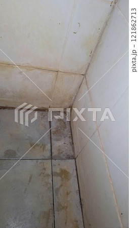 Stains on the walls and floors of the bathroom are a breeding ground for germs. Stains on the walls and floors of the bathroom are a breeding ground for germs. 121862713