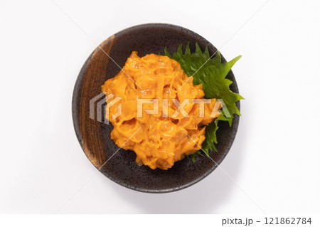 うにくらげ うにくらげ 121862784