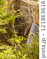 高座の滝道 121863616