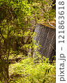 高座の滝道 121863618