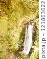 高座の滝道 121863622