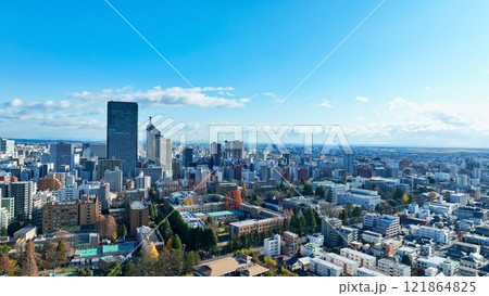 現代都市のドローン空撮 121864825