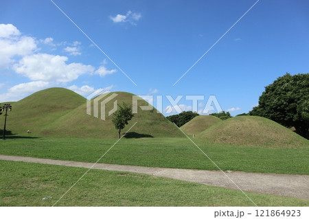 韓国慶州、大陵苑 韓国慶州、大陵苑 121864923
