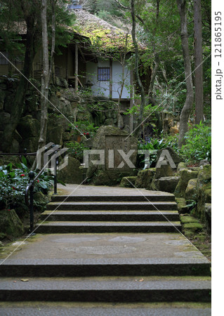 雨に濡れた寺の階段 雨に濡れた寺の階段 121865195