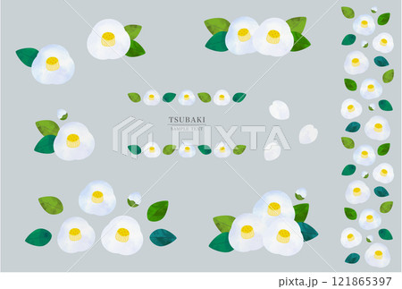 白い椿の花の装飾イラスト素材セット（水彩風ベクター） 121865397