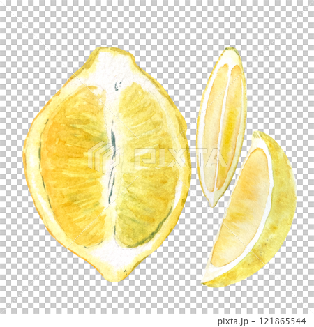 Lemon half fruit and two slices watercolor set isolated on white. High quality hand drawn art for food design, recipe, cook book, packages, menu, food ads, label, logo and decor 121865544
