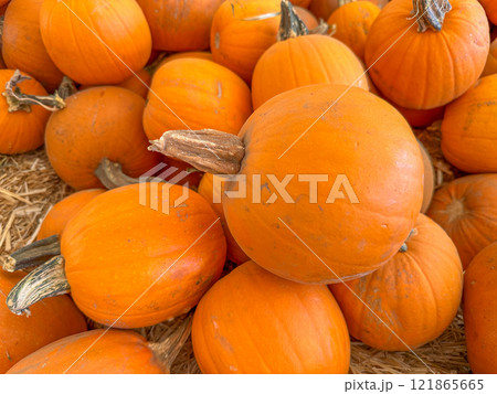 Large piles scattering of small pumpkins and gourds 121865665