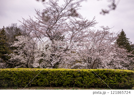 身も心も軽くなり、空を見れば綺麗に澄み渡る。山々も遠くに霞、川の流れは静かに動く 121865724