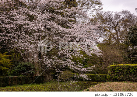 身も心も軽くなり、空を見れば綺麗に澄み渡る。山々も遠くに霞、川の流れは静かに動く 121865726