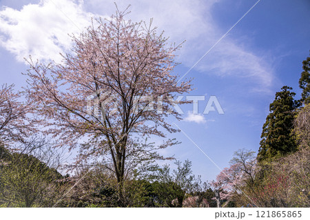 身も心も軽くなり、空を見れば綺麗に澄み渡る。山々も遠くに霞、川の流れは静かに動く 121865865