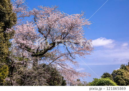身も心も軽くなり、空を見れば綺麗に澄み渡る。山々も遠くに霞、川の流れは静かに動く 121865869