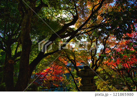 越前陶芸村の秋 121865980