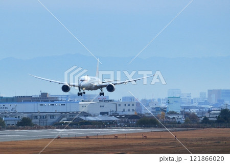 大阪国際空港 JAL 飛行機 着陸態勢 大阪国際空港 JAL 飛行機 着陸態勢 121866020