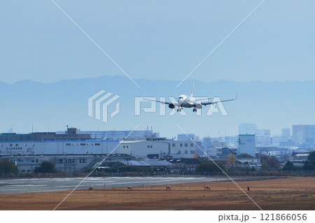 大阪国際空港　JAL　飛行機　着陸態勢 121866056