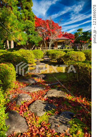 越前陶芸村の秋 121866078