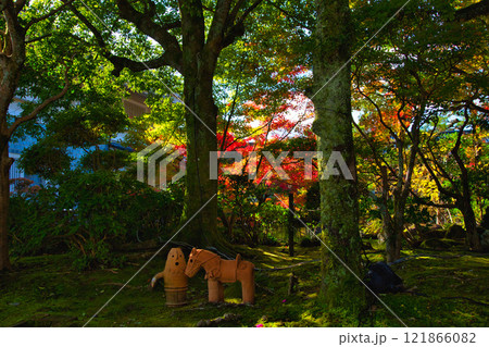 越前陶芸村の秋 121866082