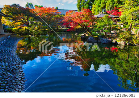 越前陶芸村の秋 越前陶芸村の秋 121866083