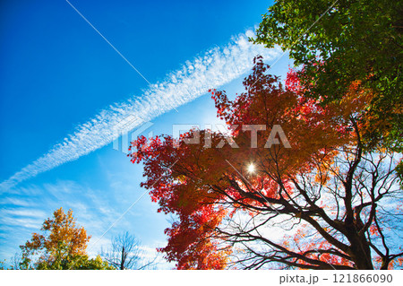 越前陶芸村の秋 121866090