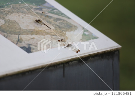 柳之御所遺跡（道の駅平泉周辺） 121866481