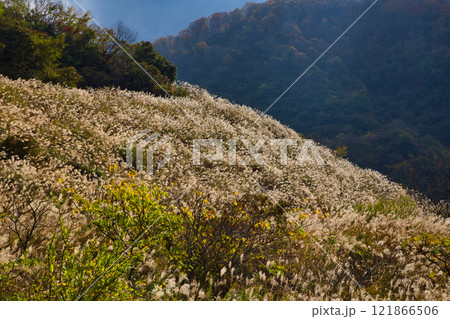 ダム湖と里山の秋 ダム湖と里山の秋 121866506
