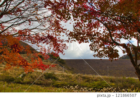 ダム湖と里山の秋 121866507