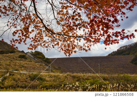ダム湖と里山の秋 121866508