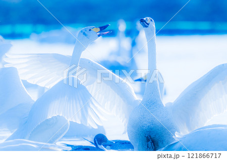 本埜白鳥の郷 121866717