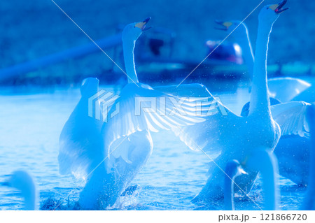 本埜白鳥の郷 121866720