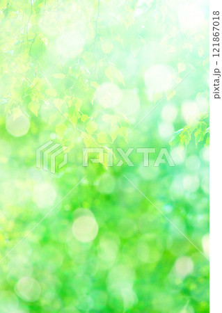 緑のバックグラウンド 121867018