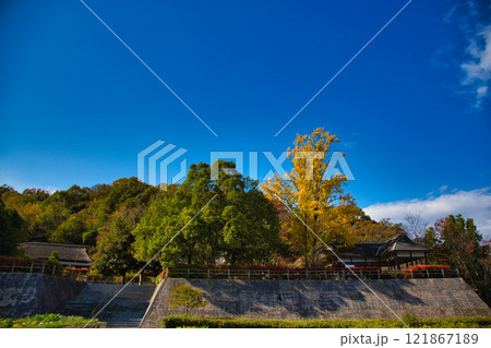 おさごえカルチャーパークの秋 121867189