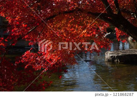 紅葉をむかえた西山公園 紅葉をむかえた西山公園 121868287