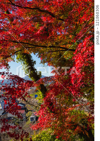 紅葉をむかえた西山公園 紅葉をむかえた西山公園 121868306