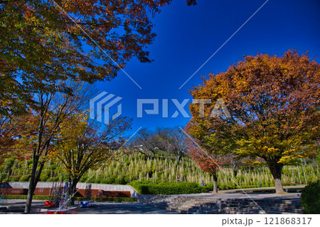 紅葉をむかえた西山公園 121868317