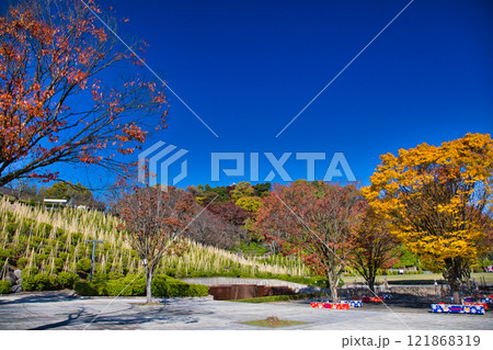 紅葉をむかえた西山公園 121868319