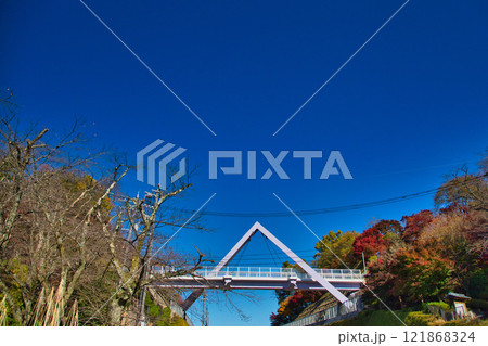 紅葉をむかえた西山公園 121868324