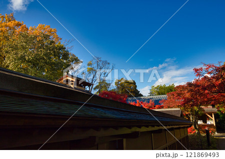 　養浩館庭園の雪吊りと紅葉風景 121869493