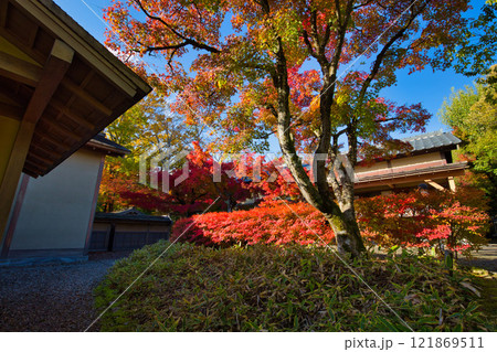 　養浩館庭園の雪吊りと紅葉風景 121869511