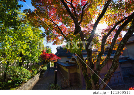　養浩館庭園の雪吊りと紅葉風景 121869513