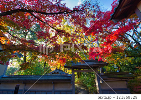 　養浩館庭園の雪吊りと紅葉風景 121869529