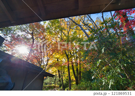 　養浩館庭園の雪吊りと紅葉風景 121869531