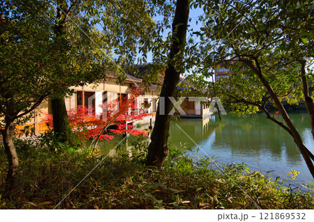 　養浩館庭園の雪吊りと紅葉風景 121869532