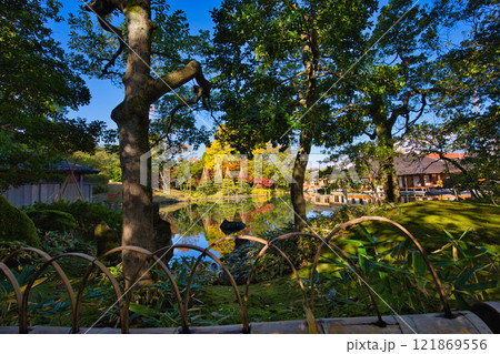 養浩館庭園の雪吊りと紅葉風景 養浩館庭園の雪吊りと紅葉風景 121869556