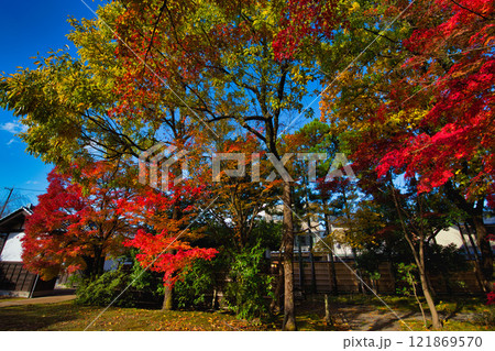 養浩館庭園の雪吊りと紅葉風景 養浩館庭園の雪吊りと紅葉風景 121869570