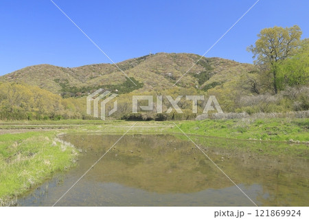 快晴の青空の下、若葉と山桜に彩られた、春の茨城県の宝篋山(ほうきょうさん) 快晴の青空の下、若葉と山桜に彩られた、春の茨城県の宝篋山(ほうきょうさん) 121869924